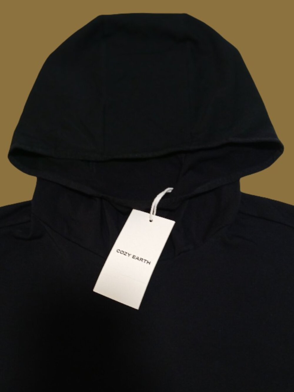 COZY EARTH Men's Recovery Hoodie